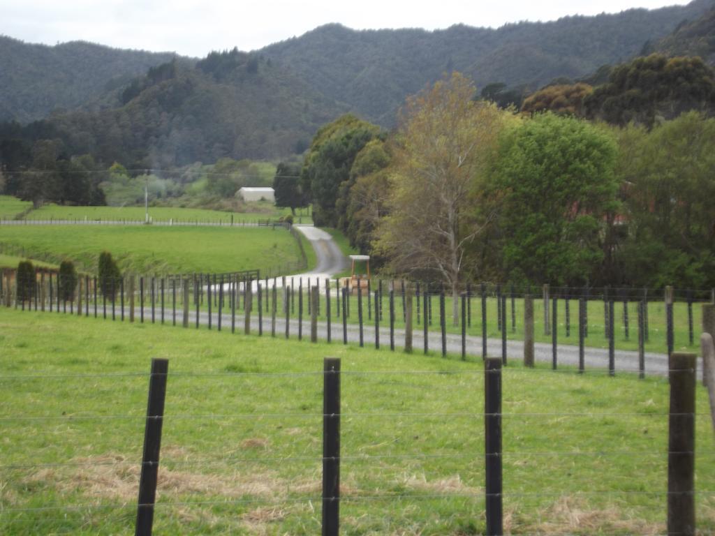 The Little Farm Coromandel Hotel Værelse billede