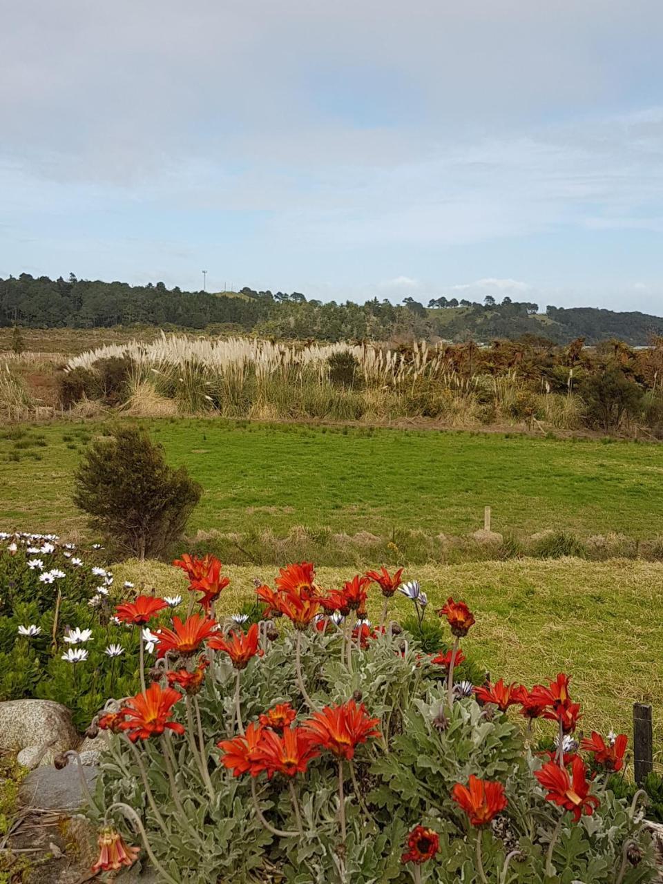 The Little Farm Coromandel Hotel Eksteriør billede