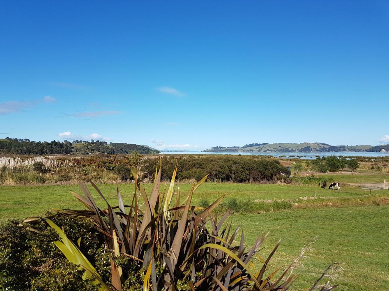 The Little Farm Coromandel Hotel Eksteriør billede