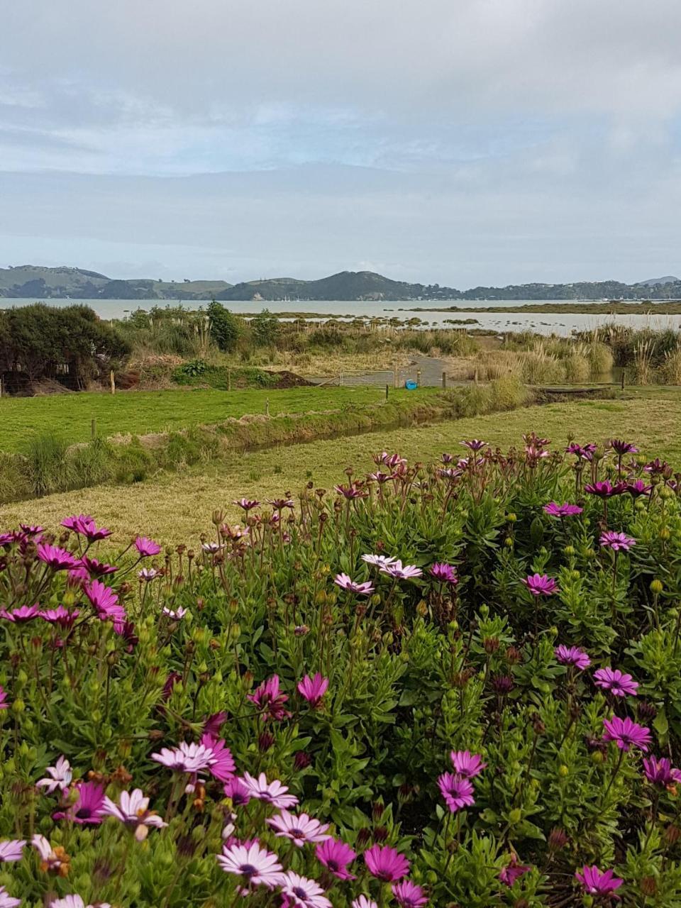 The Little Farm Coromandel Hotel Eksteriør billede
