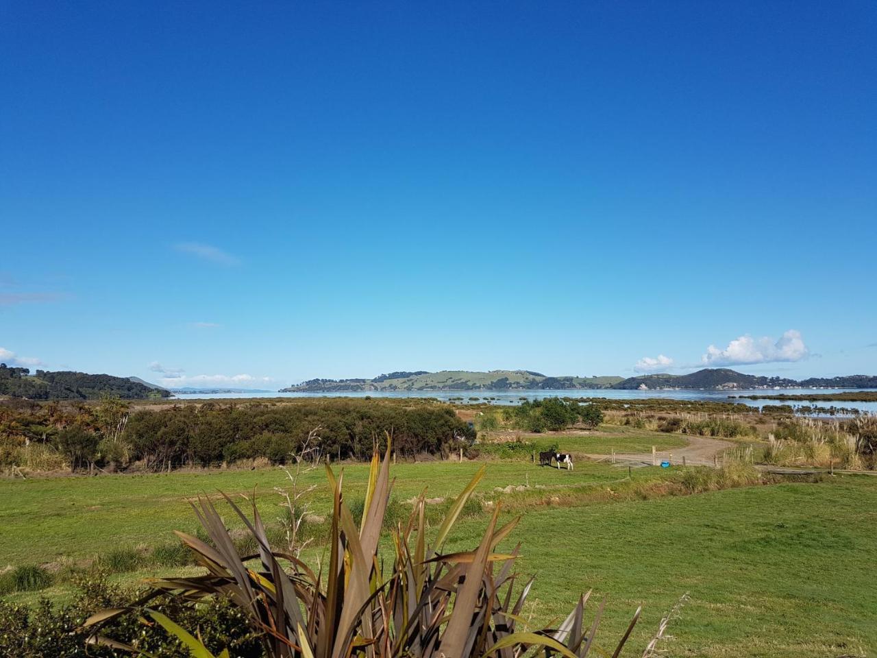 The Little Farm Coromandel Hotel Eksteriør billede